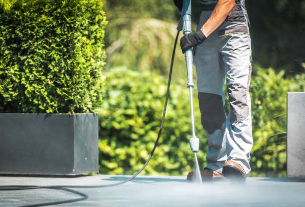 Best Gutter Cleaning  in Susanville, CA
