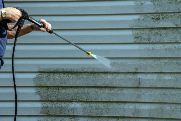 Best Sidewalk and Walkway Cleaning  in Susanville, CA